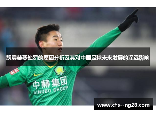 魏震禁赛处罚的原因分析及其对中国足球未来发展的深远影响
